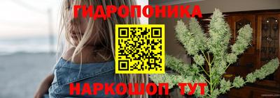 прущие грибы Кунгур