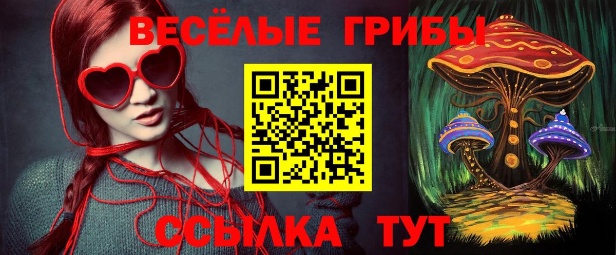 Галлюциногенные грибы Magic Shrooms  Псилоцибиновые грибы Psilocybe  Вход с VPN  Екатеринбург 