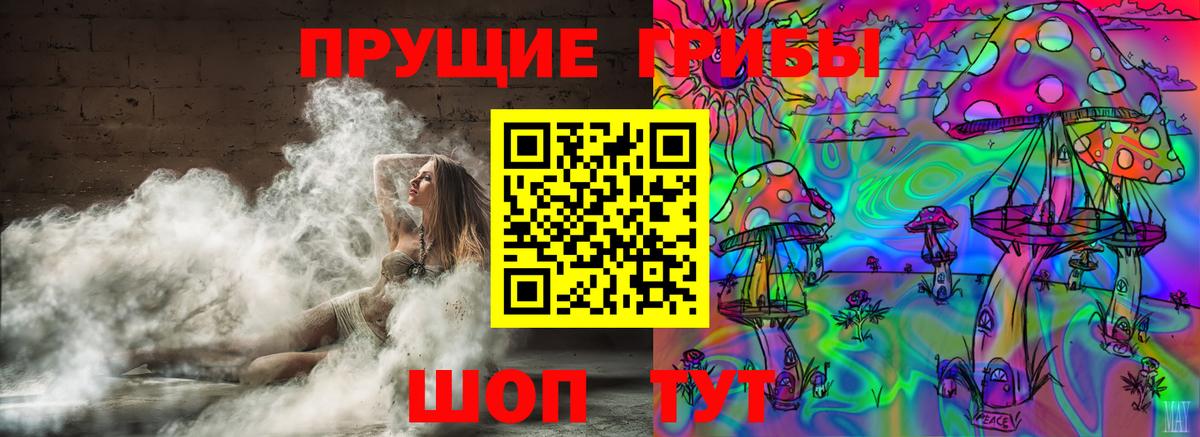 Псилоцибиновые грибы Psilocybe Екатеринбург